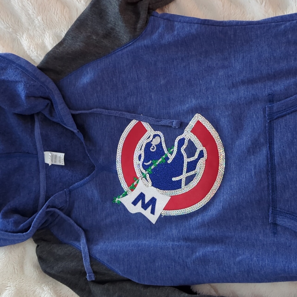 Cubs hoodie nwot